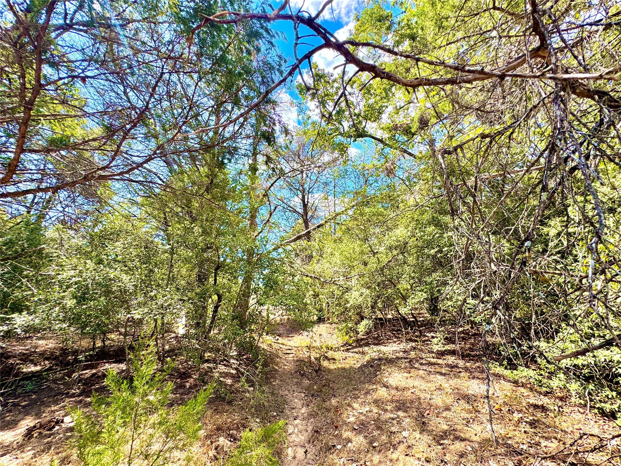 TBD 50.62 Acres Rabel Rd, Rosanky, TX 78953