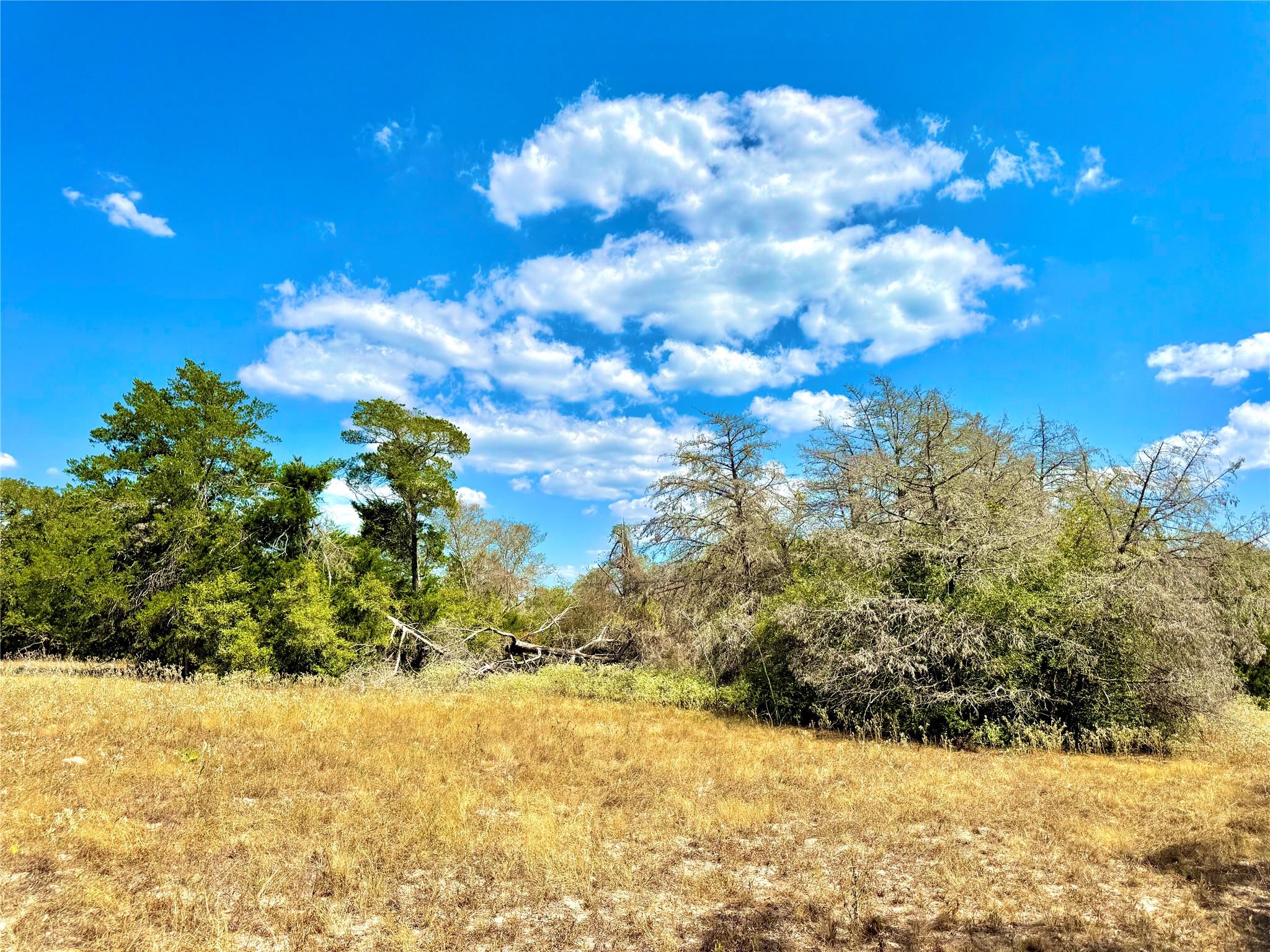 TBD 50.62 Acres Rabel Rd, Rosanky, TX 78953