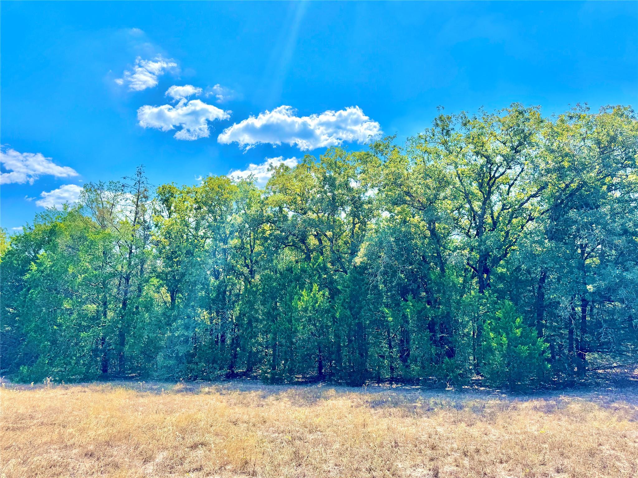 TBD 50.62 Acres Rabel Rd, Rosanky, TX 78953