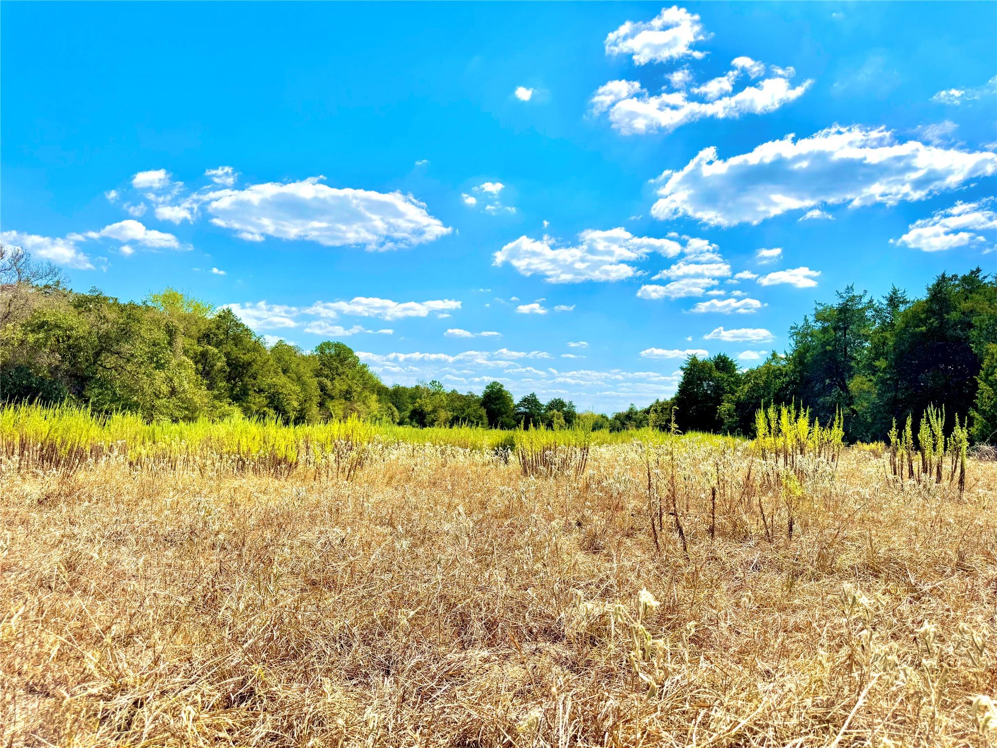 TBD 50.62 Acres Rabel Rd, Rosanky, TX 78953