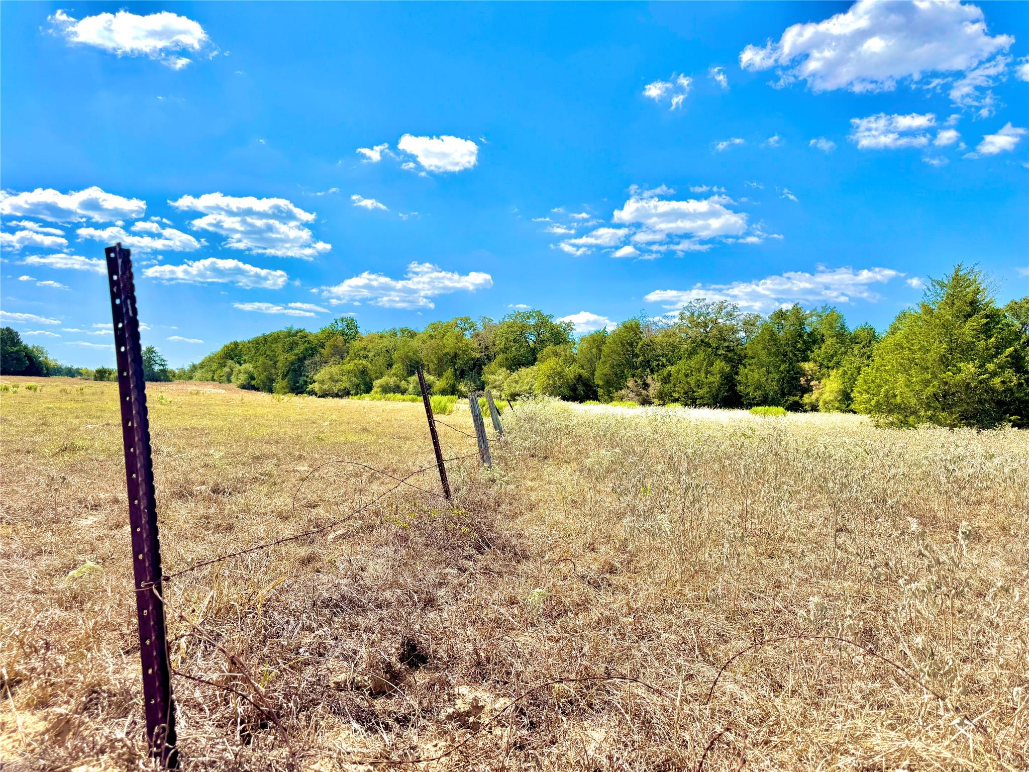 TBD 50.62 Acres Rabel Rd, Rosanky, TX 78953