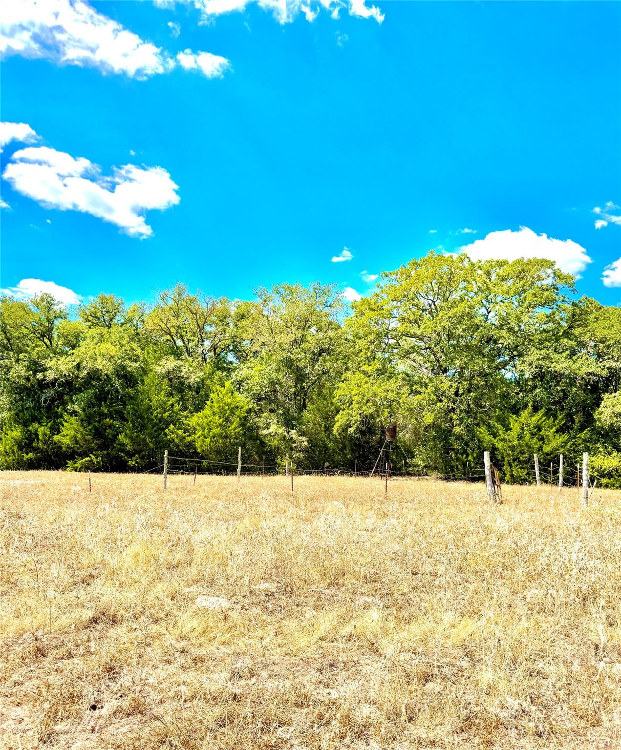 TBD 50.62 Acres Rabel Rd, Rosanky, TX 78953