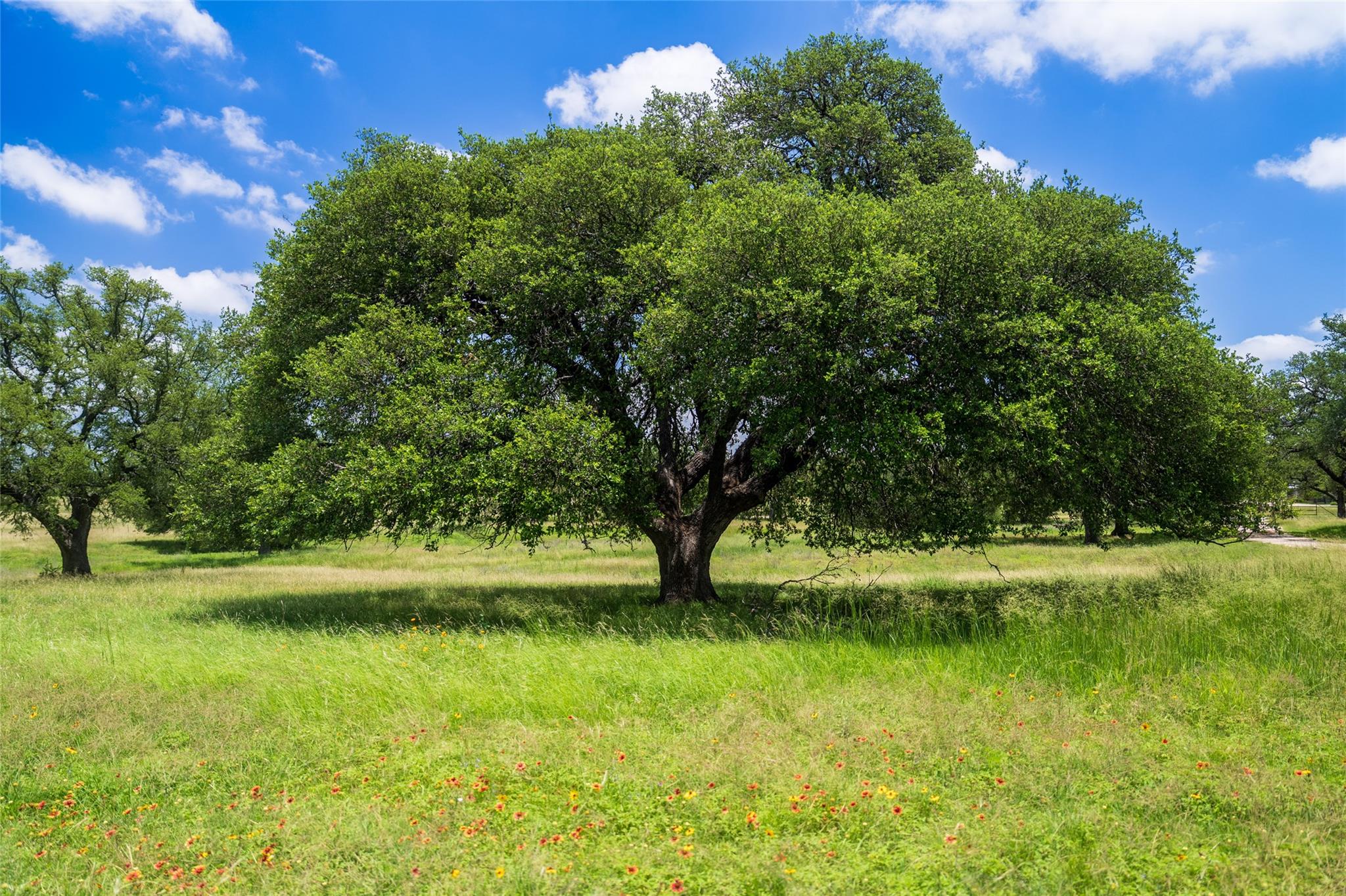 TBD 125 Hye Albert Rd, Hye, TX 78635