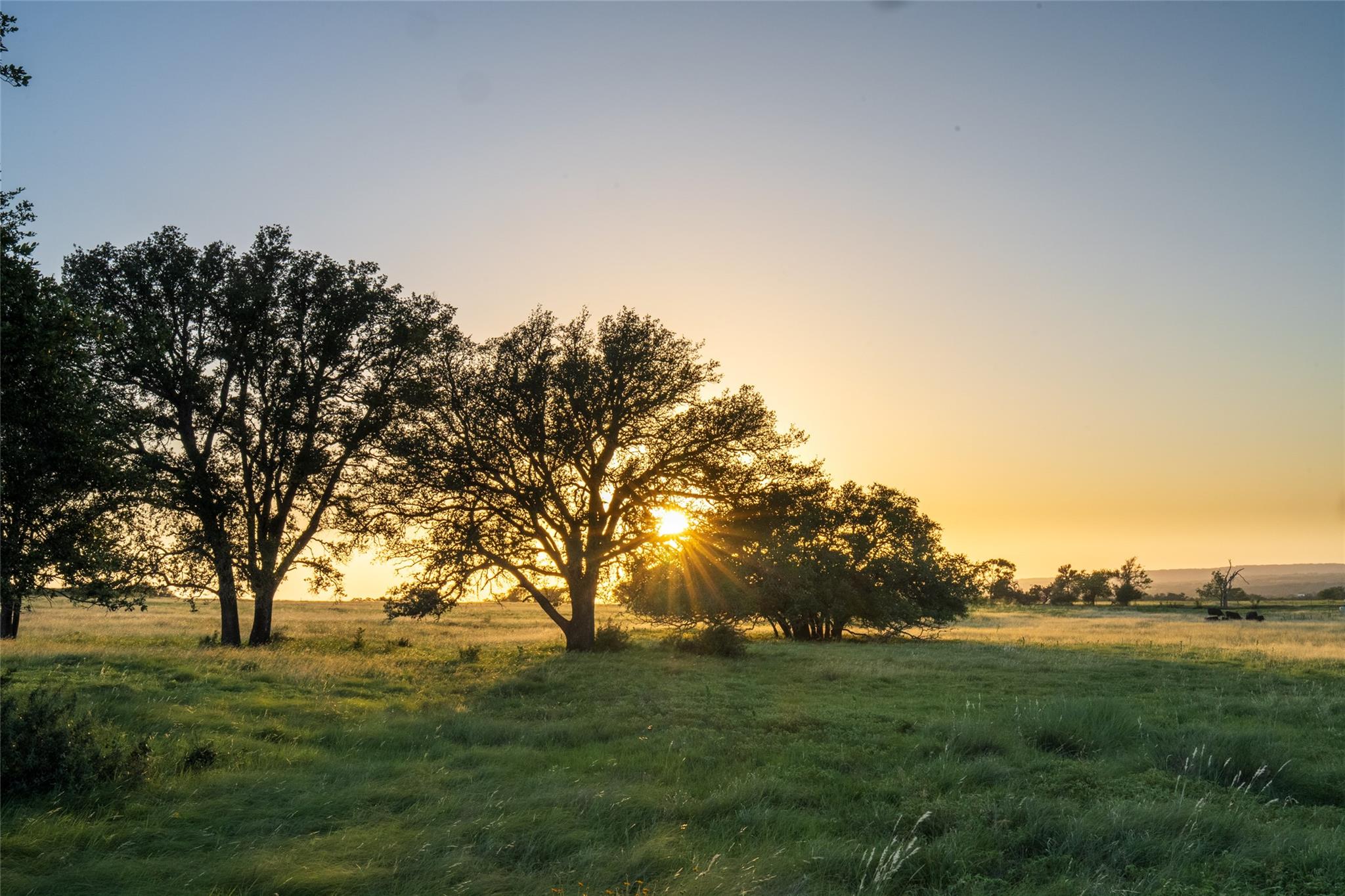 TBD 125 Hye Albert Rd, Hye, TX 78635