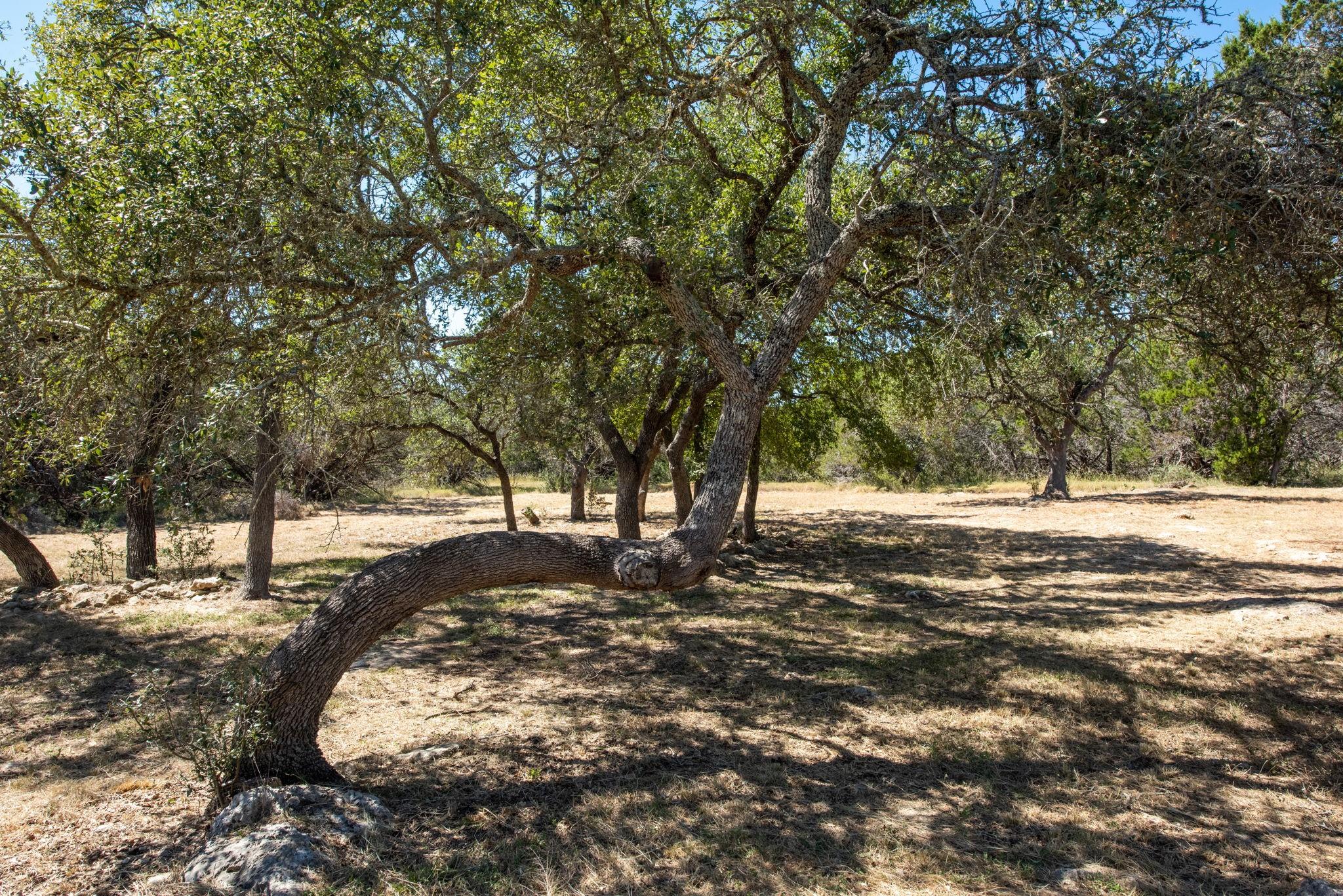 840 Forest View Dr, Blanco, TX 78606