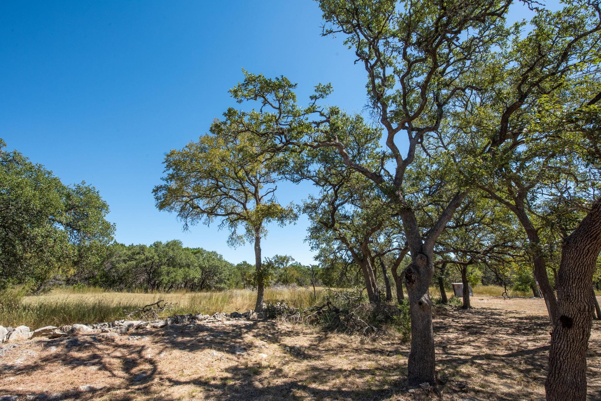 840 Forest View Dr, Blanco, TX 78606