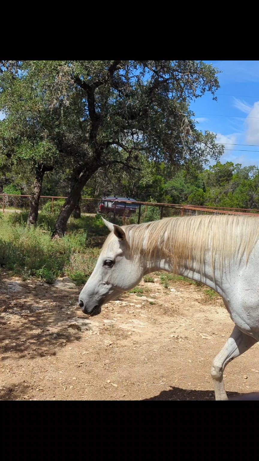 757 Rabbit Ave, Wimberley, TX 78676
