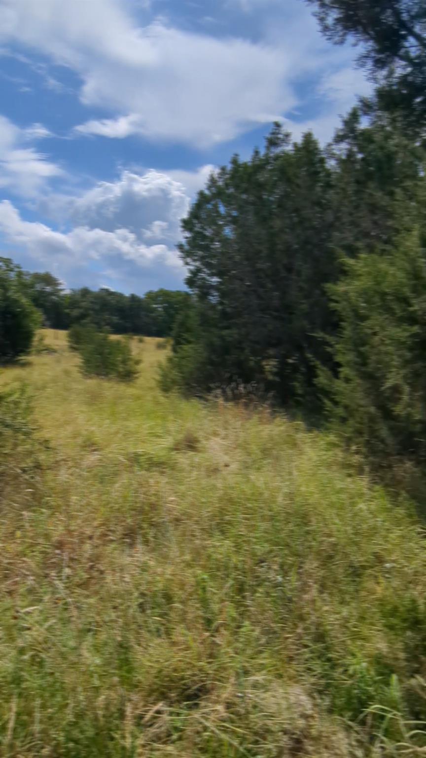 757 Rabbit Ave, Wimberley, TX 78676