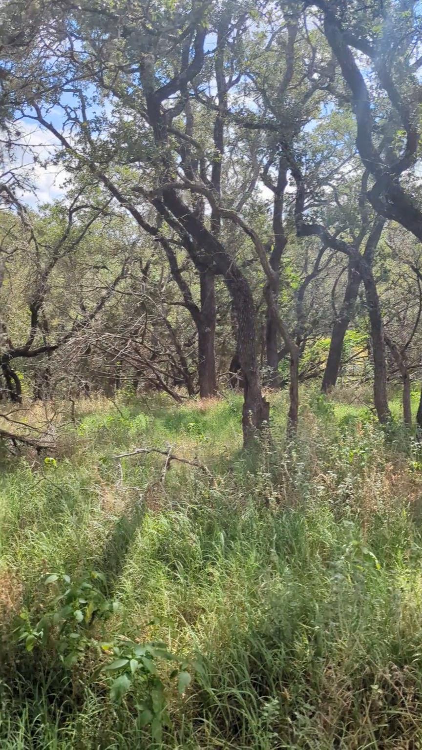 757 Rabbit Ave, Wimberley, TX 78676