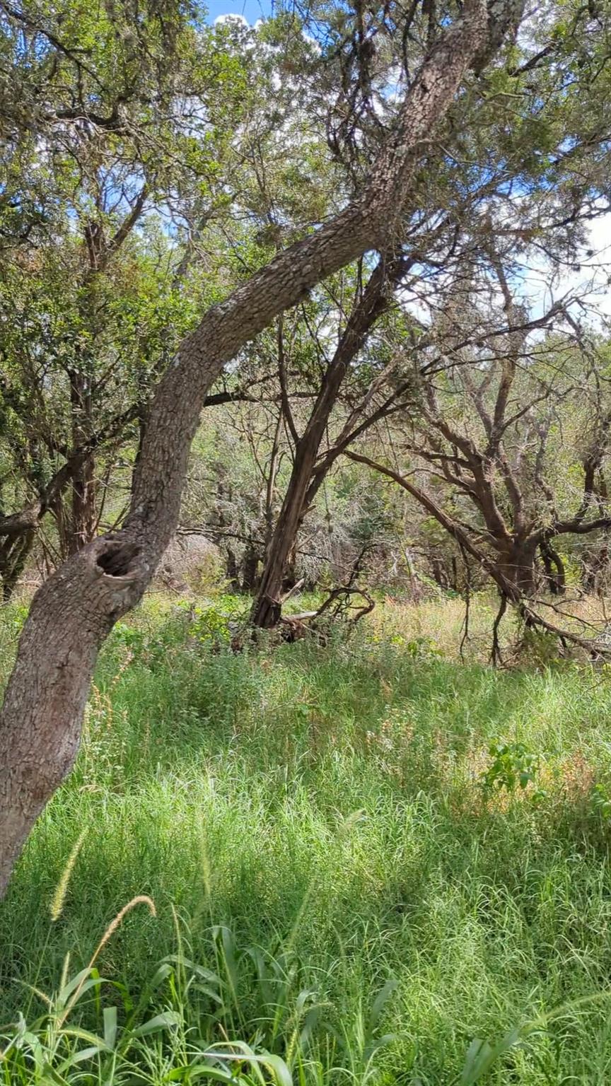 757 Rabbit Ave, Wimberley, TX 78676