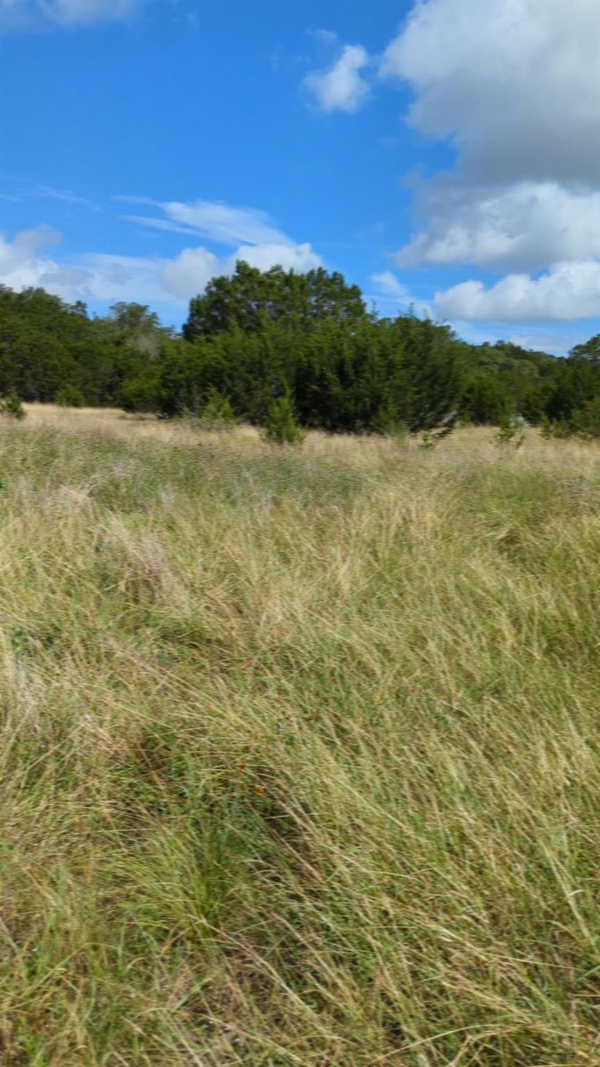 757 Rabbit Ave, Wimberley, TX 78676