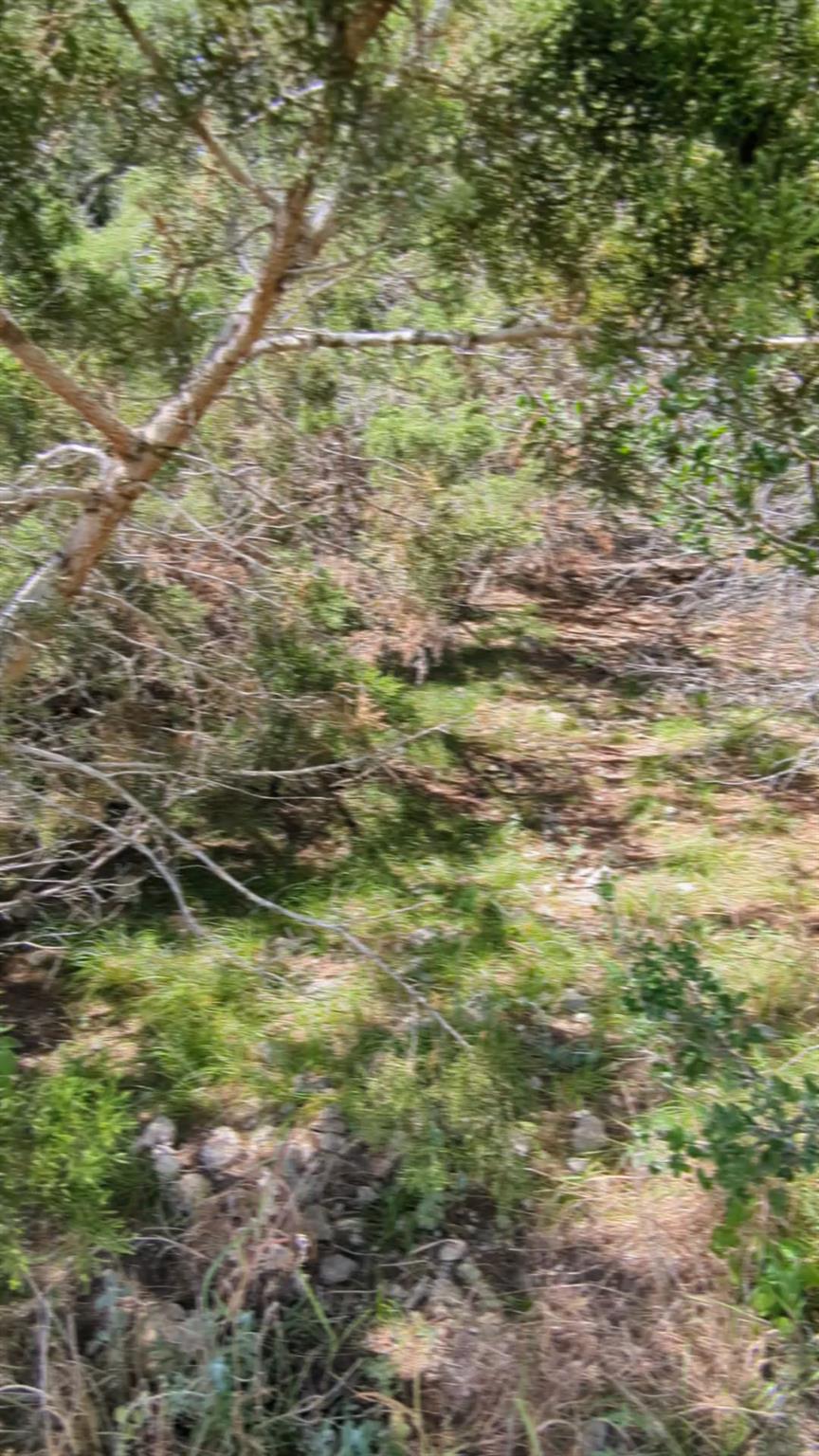 757 Rabbit Ave, Wimberley, TX 78676