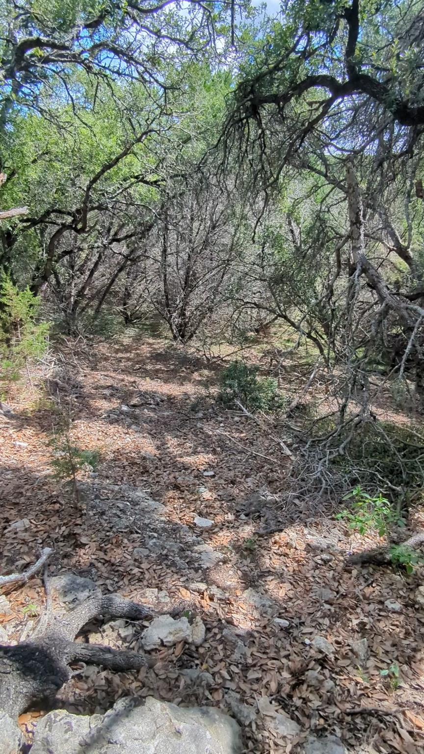 757 Rabbit Ave, Wimberley, TX 78676