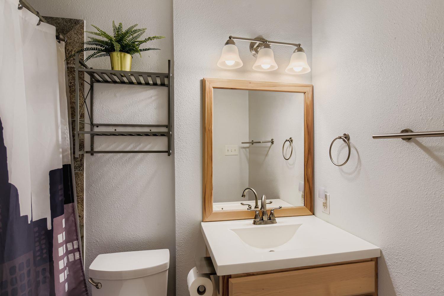 1215 Speer Ln, Austin, TX 78745