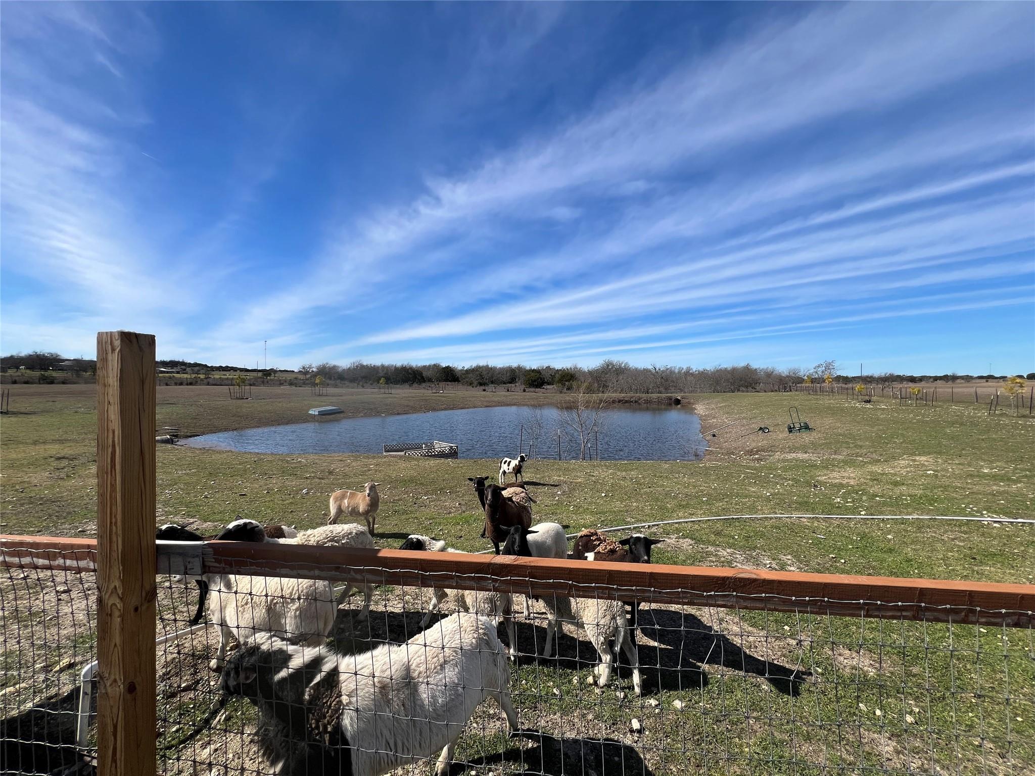 1300 County Road 217, Florence, TX 76527