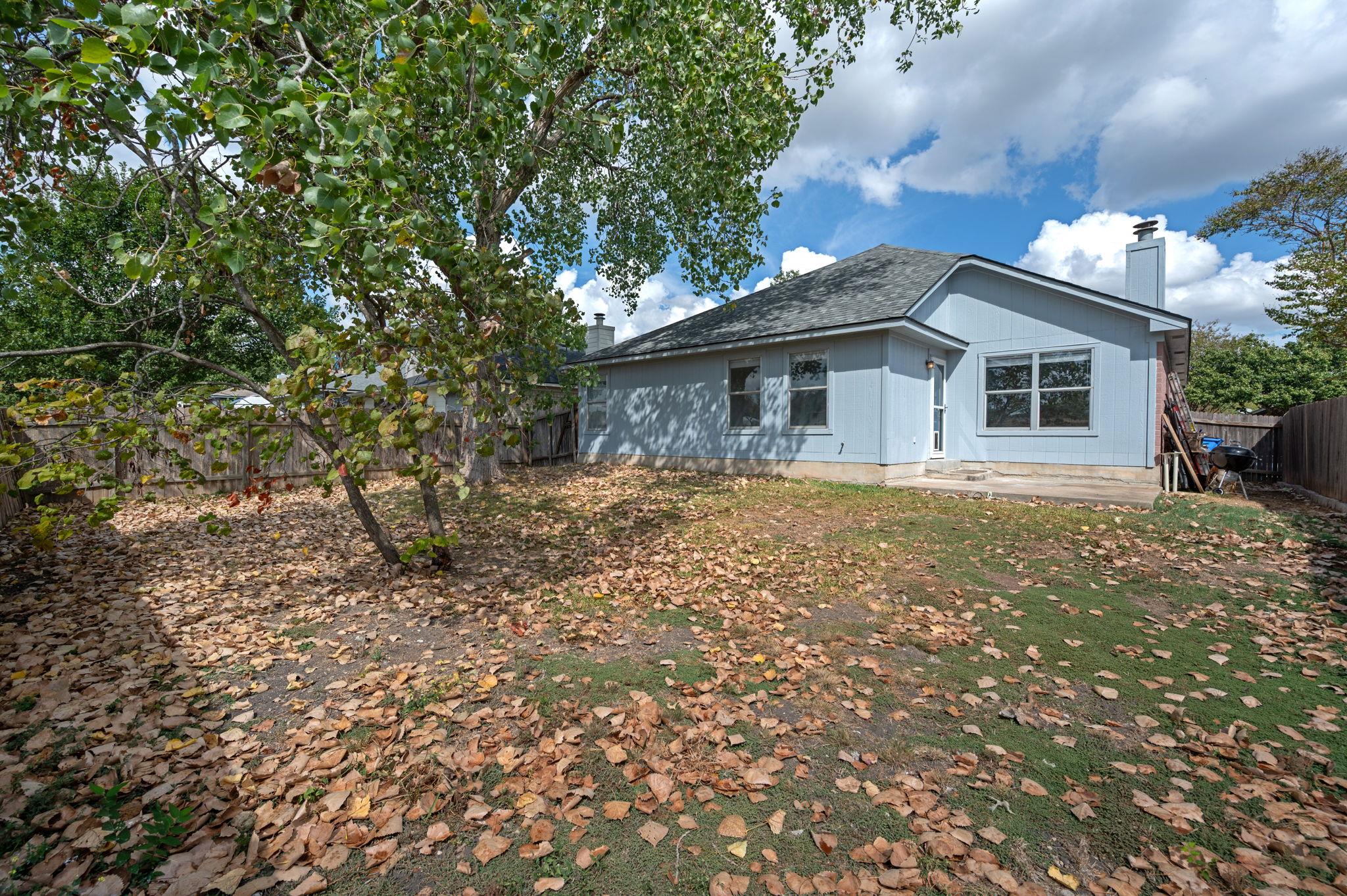 1811 Fast Filly Ave, Pflugerville, TX 78660