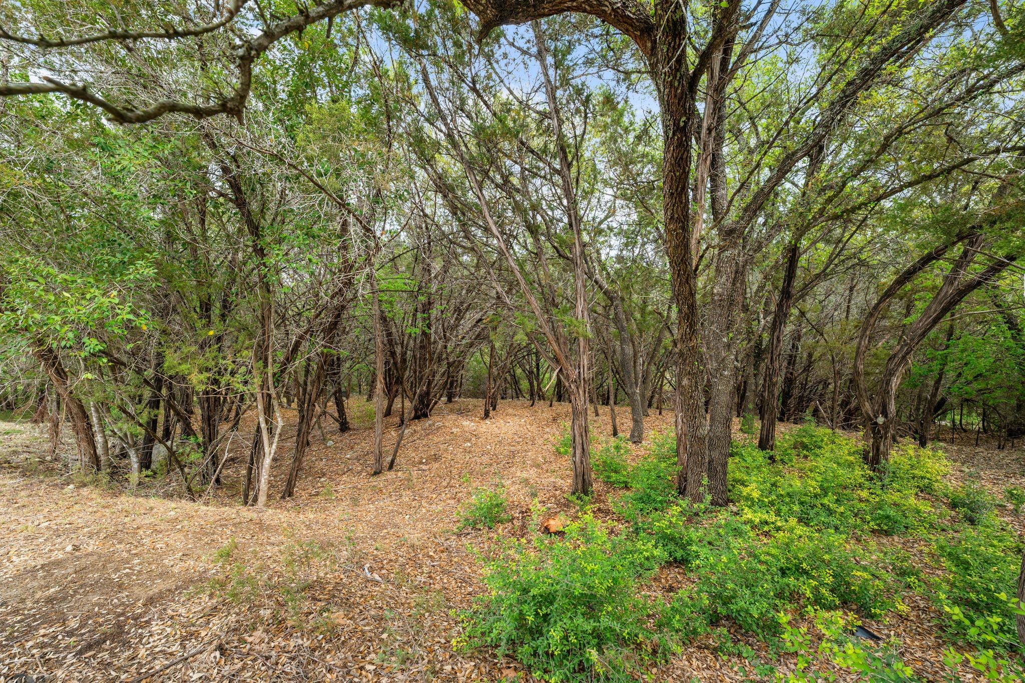 1707 Lipan Trl, Austin, TX 78733