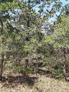 142 Meduna Rd, Smithville, TX 78957