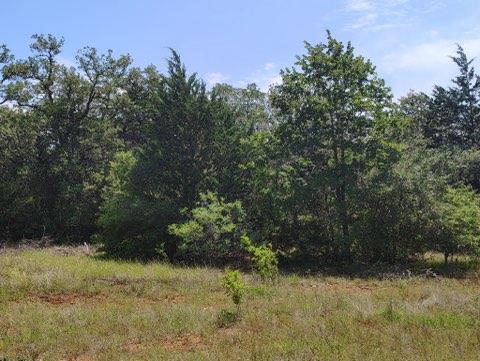 142 Meduna Rd, Smithville, TX 78957