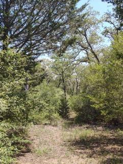 142 Meduna Rd, Smithville, TX 78957