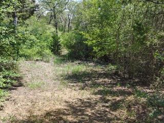 142 Meduna Rd, Smithville, TX 78957