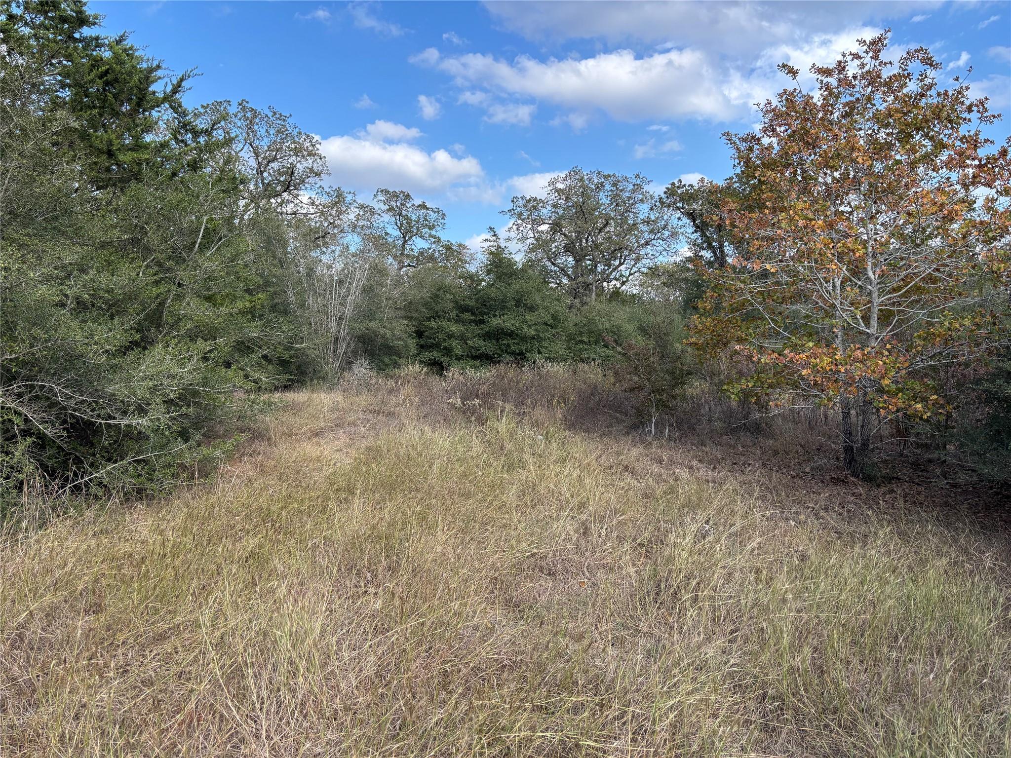 142 Meduna Rd, Smithville, TX 78957