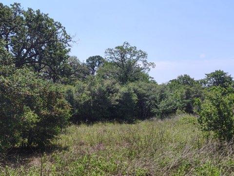 142 Meduna Rd, Smithville, TX 78957