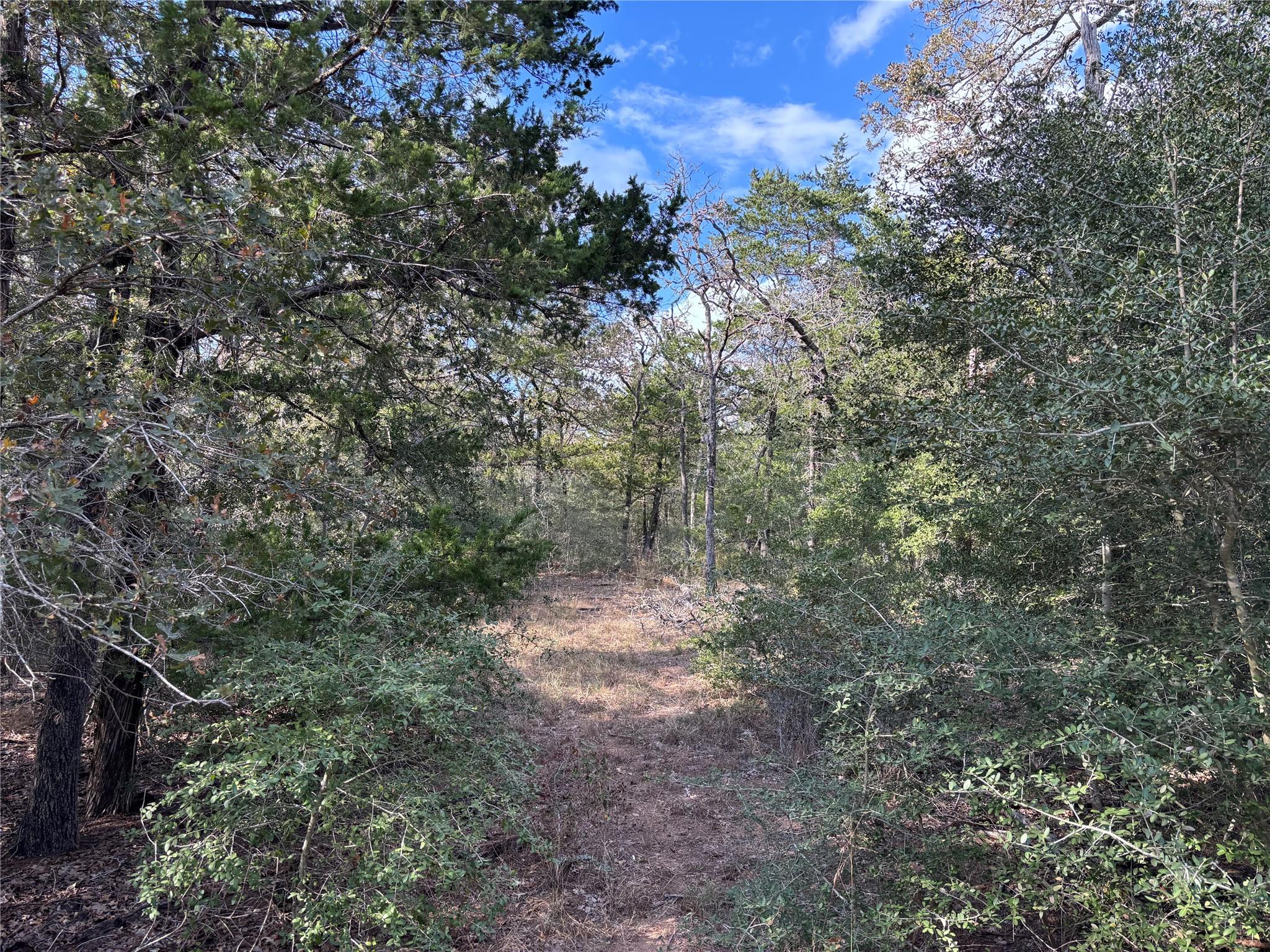 142 Meduna Rd, Smithville, TX 78957