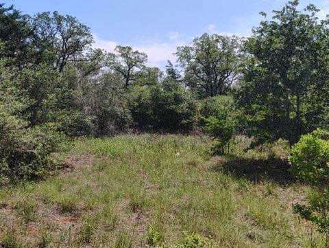 142 Meduna Rd, Smithville, TX 78957