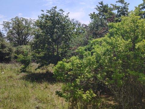 142 Meduna Rd, Smithville, TX 78957