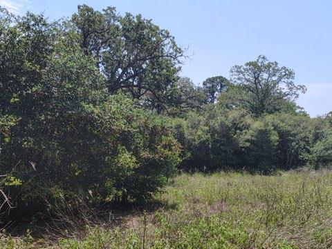 142 Meduna Rd, Smithville, TX 78957