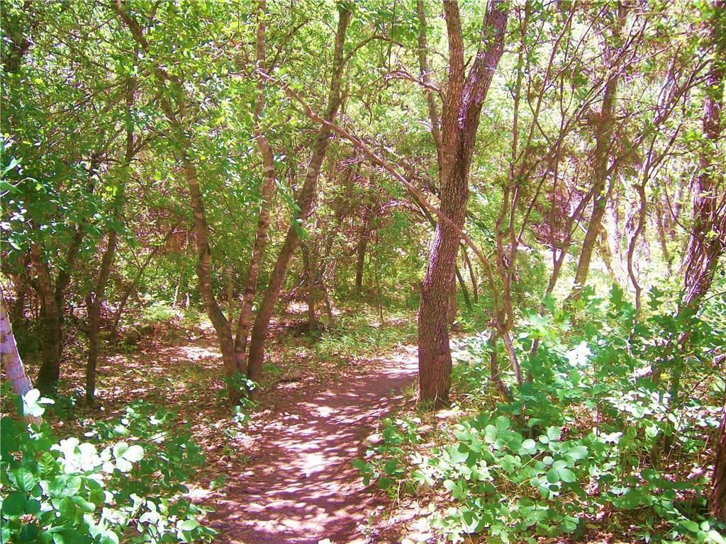 14801 GREAT EAGLE Trl, Austin, TX 78734