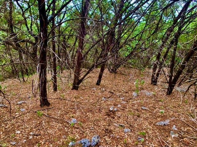 14801 GREAT EAGLE Trl, Austin, TX 78734