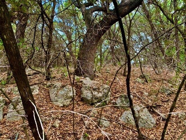 14801 GREAT EAGLE Trl, Austin, TX 78734