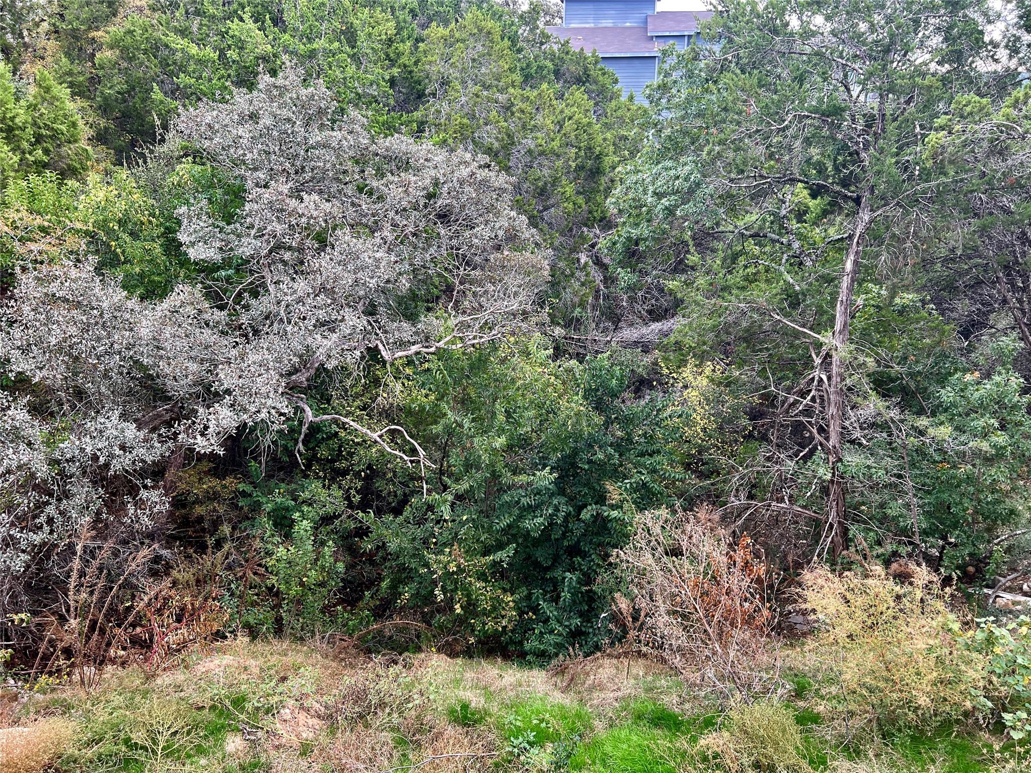 14801 GREAT EAGLE Trl, Austin, TX 78734