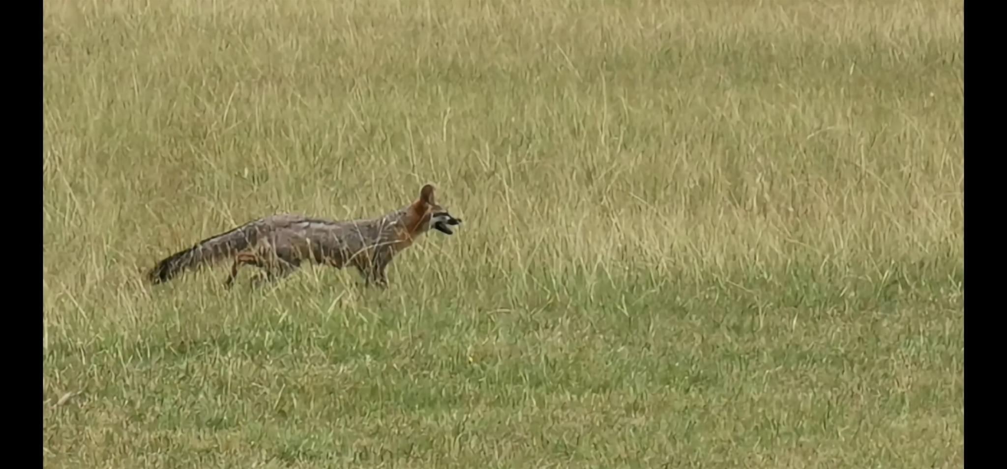 1701 Sycamore St, Temple, TX 76502