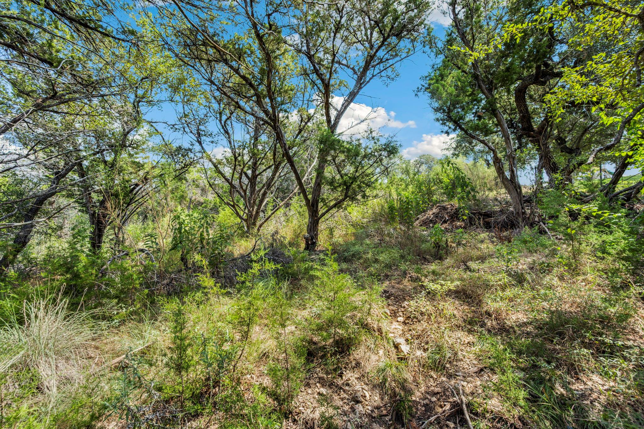 1484 Stahlman Way, New Braunfels, TX 78132