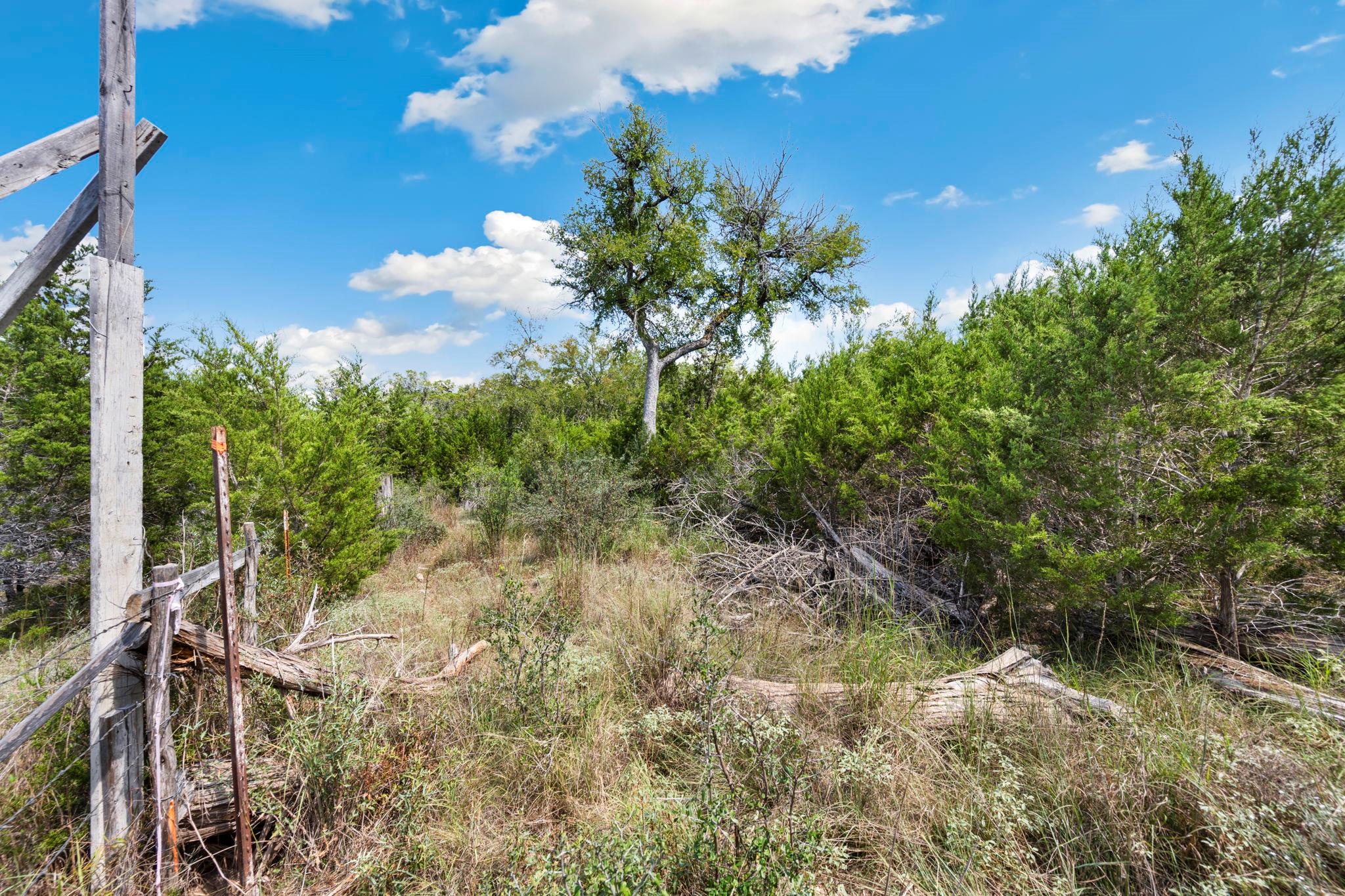 1484 Stahlman Way, New Braunfels, TX 78132