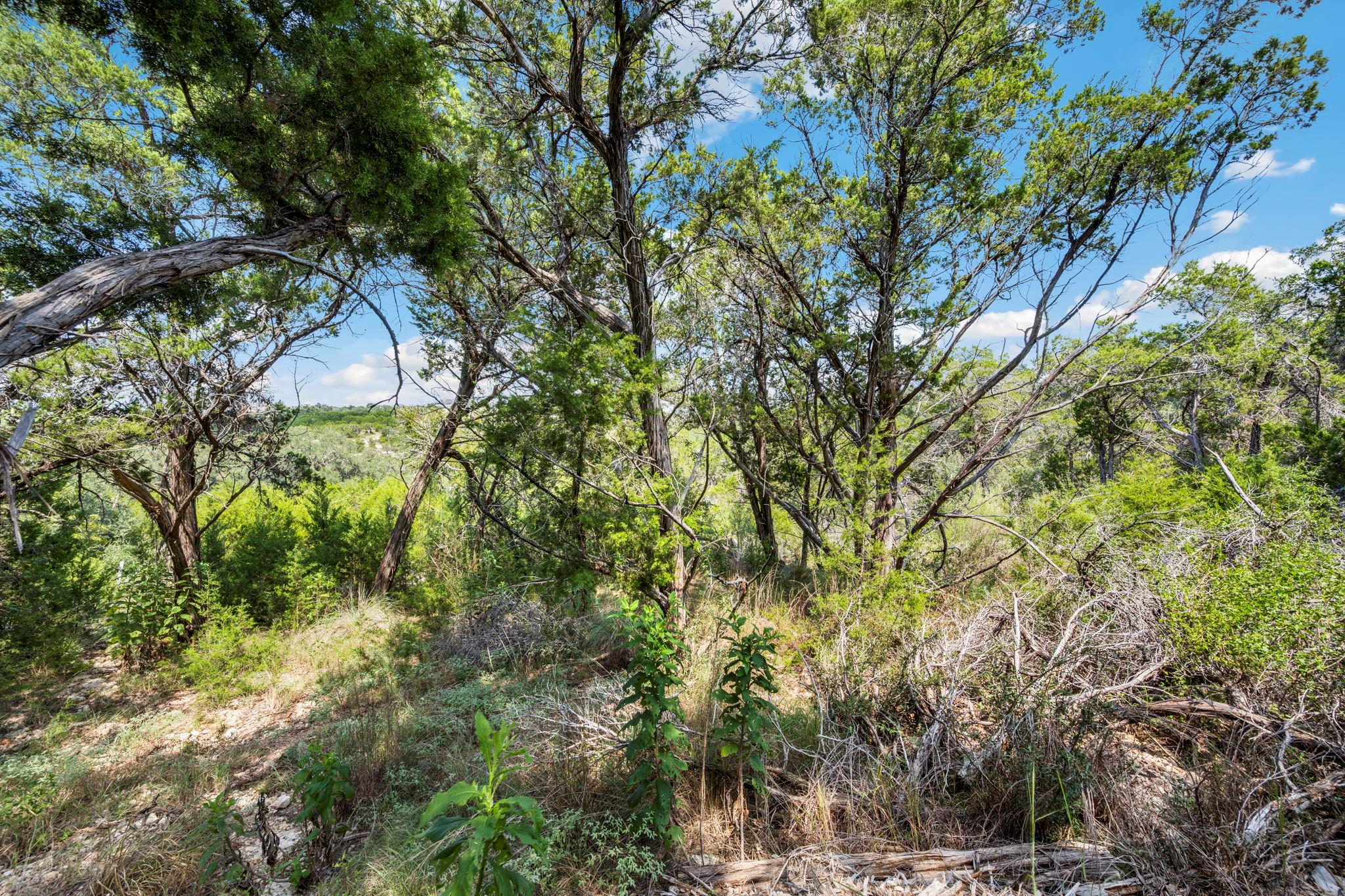 1484 Stahlman Way, New Braunfels, TX 78132