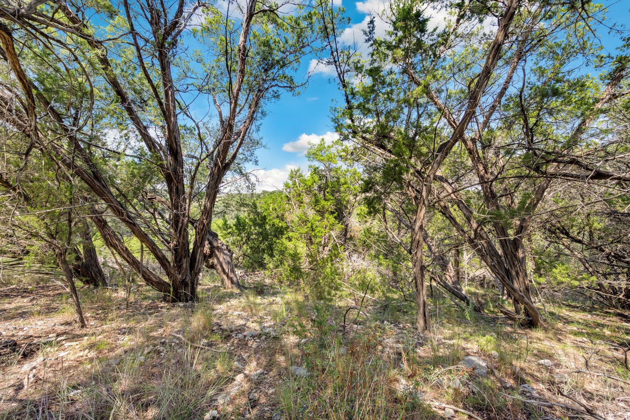 1484 Stahlman Way, New Braunfels, TX 78132