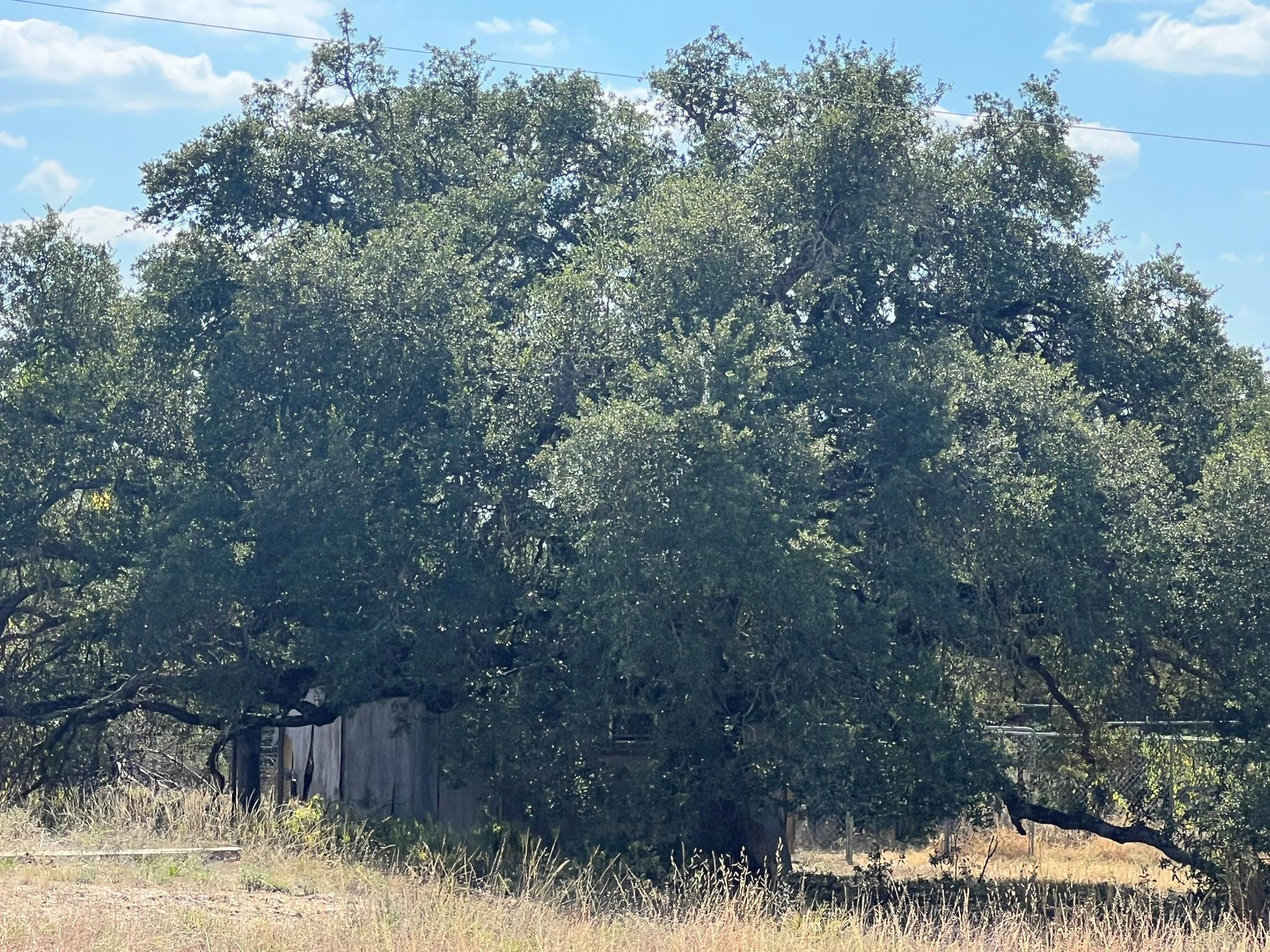 12609 Pauls Valley Rd, Austin, TX 78737