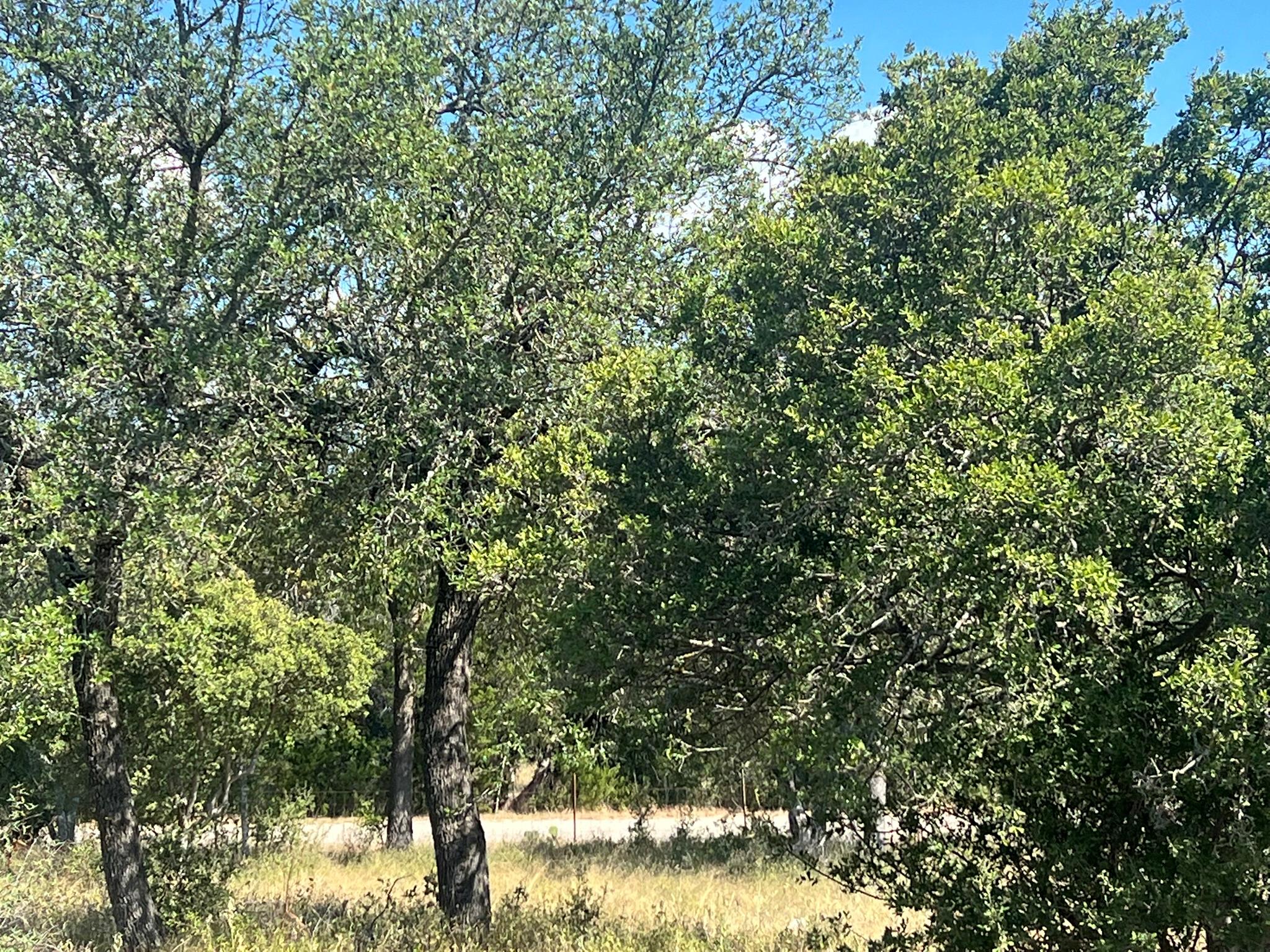 12609 Pauls Valley Rd, Austin, TX 78737