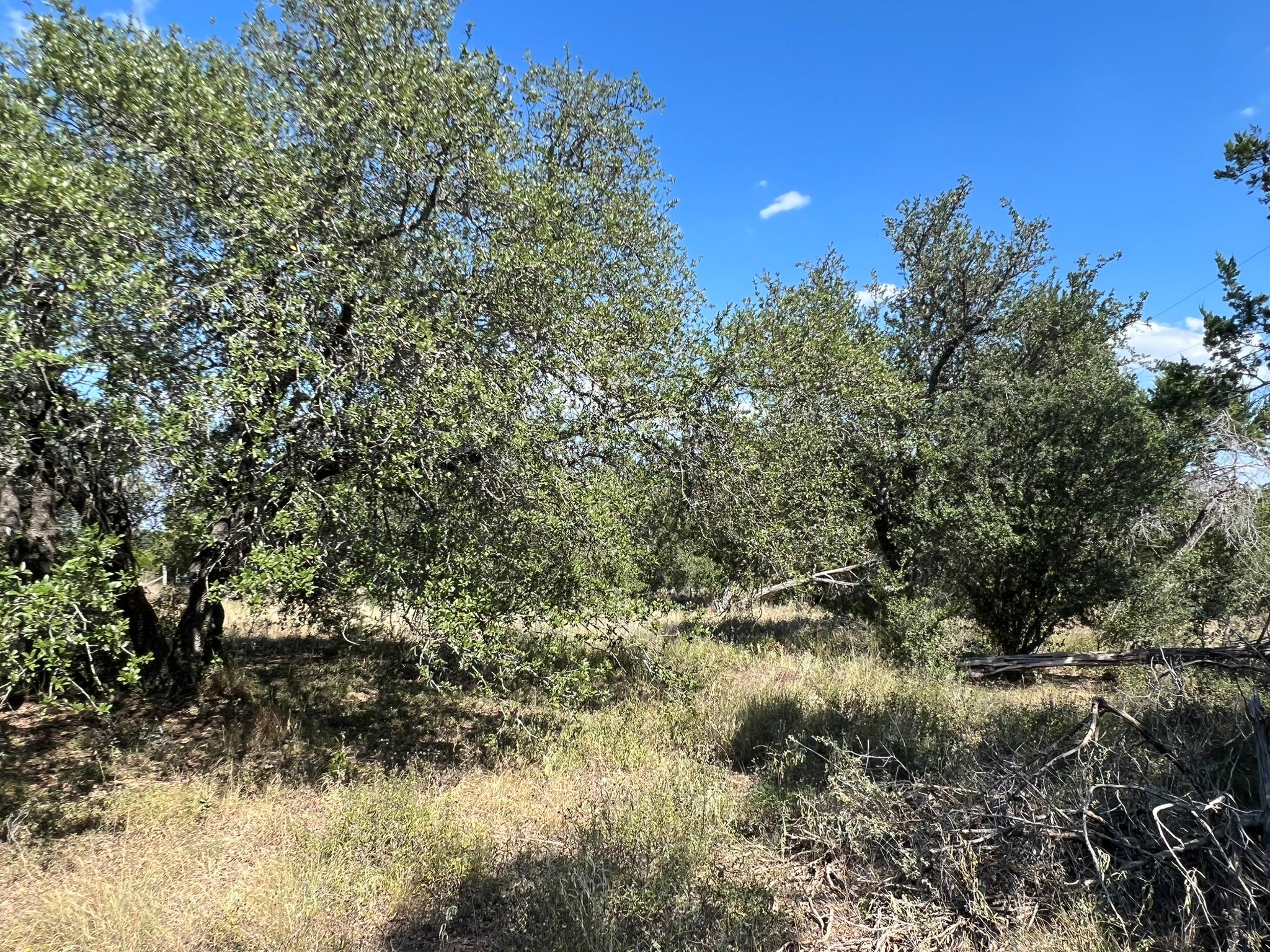 12609 Pauls Valley Rd, Austin, TX 78737