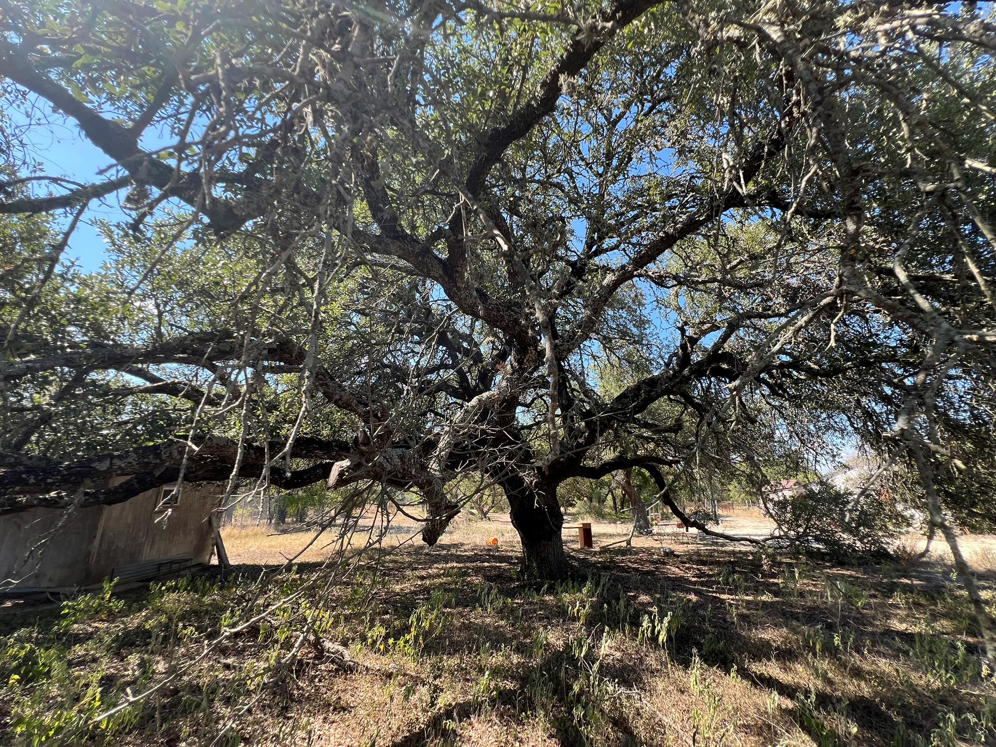 12609 Pauls Valley Rd, Austin, TX 78737