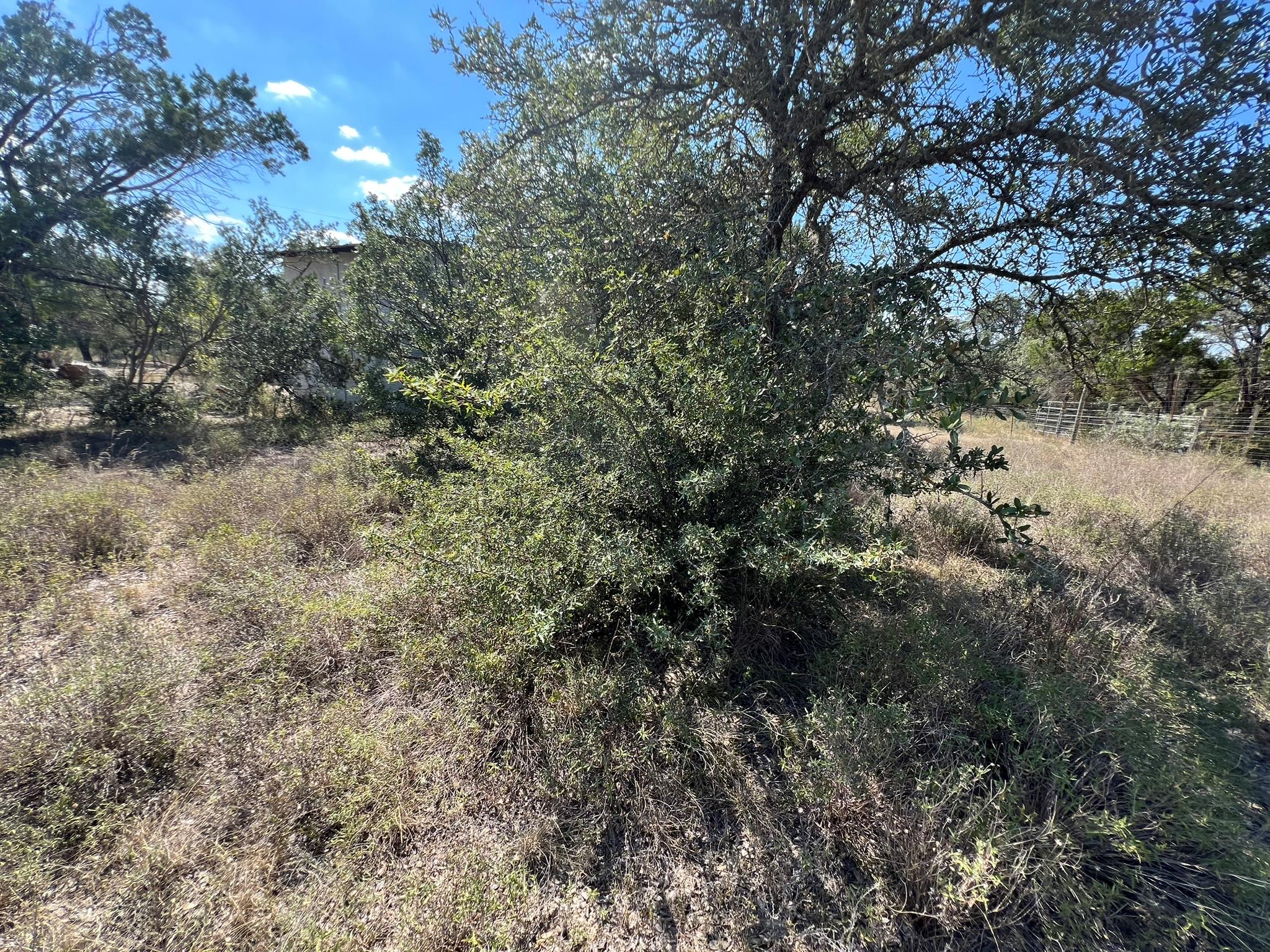 12609 Pauls Valley Rd, Austin, TX 78737