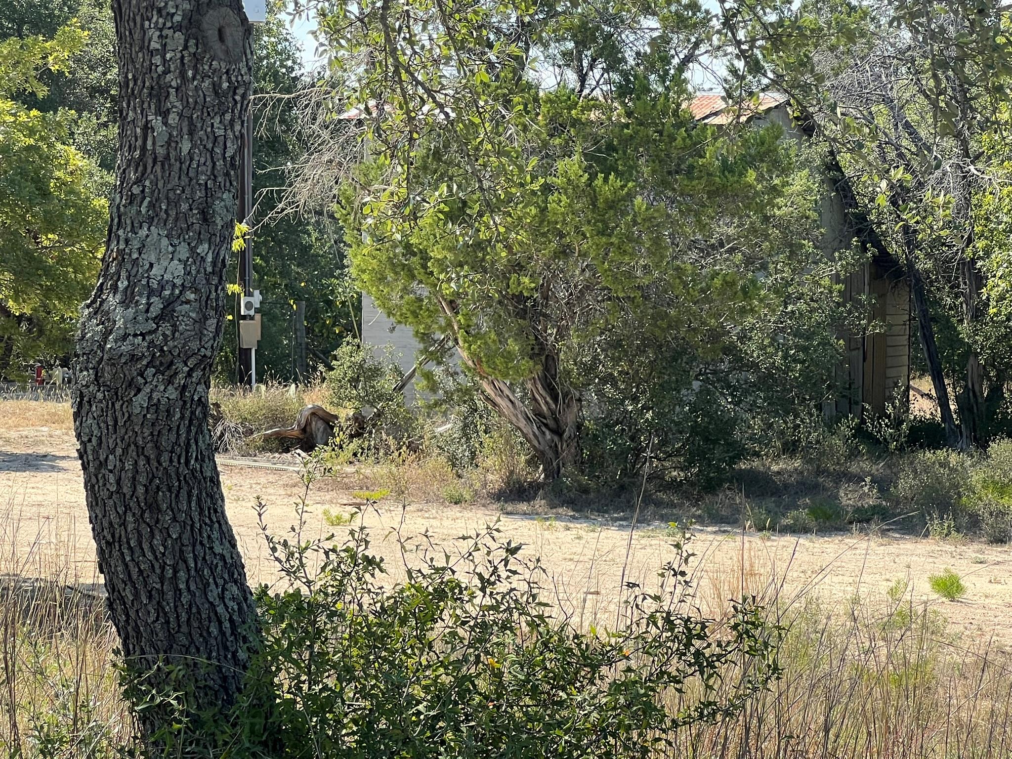 12609 Pauls Valley Rd, Austin, TX 78737