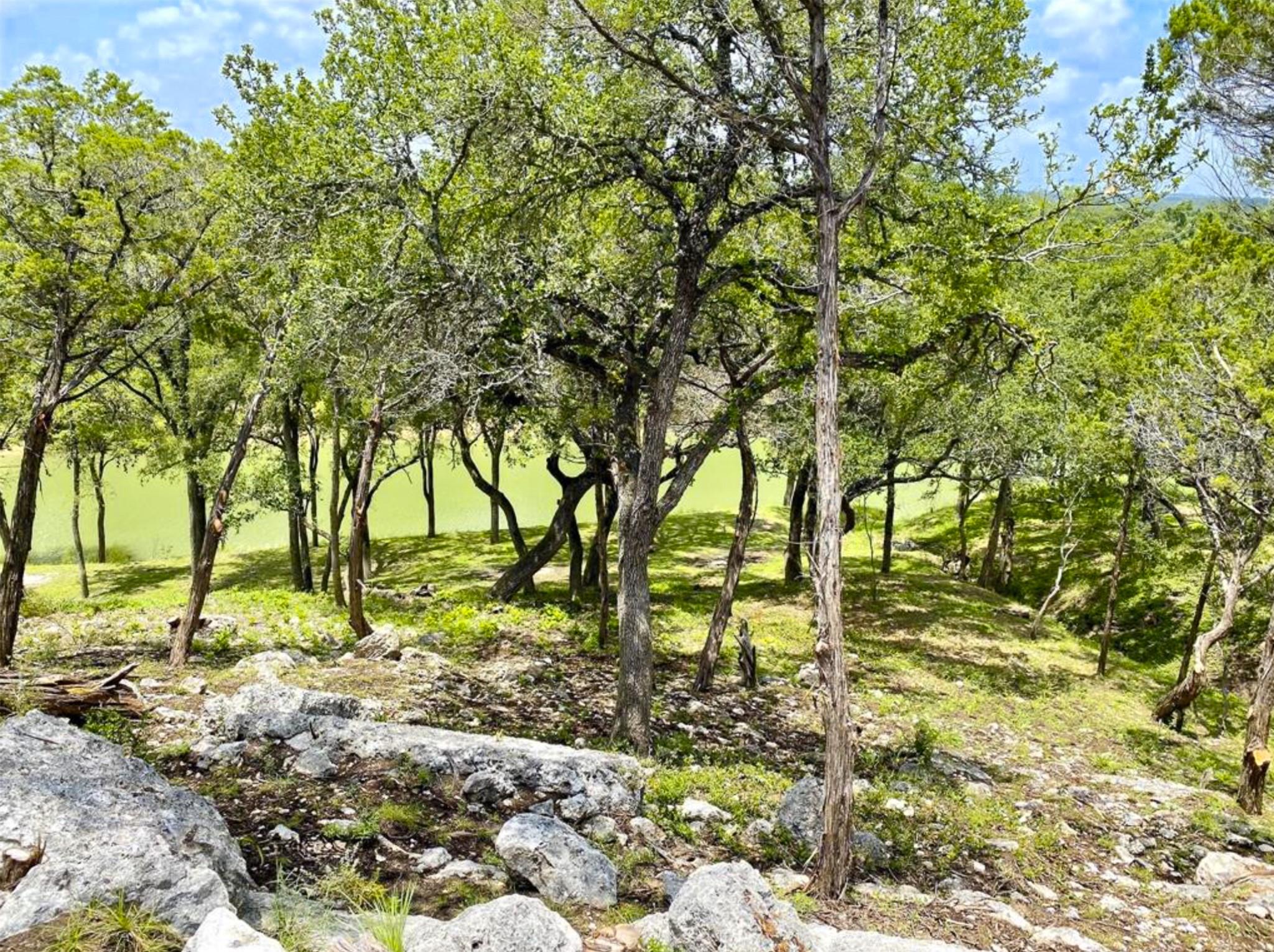 1761 Paradise Pkwy, Canyon Lake, TX 78133