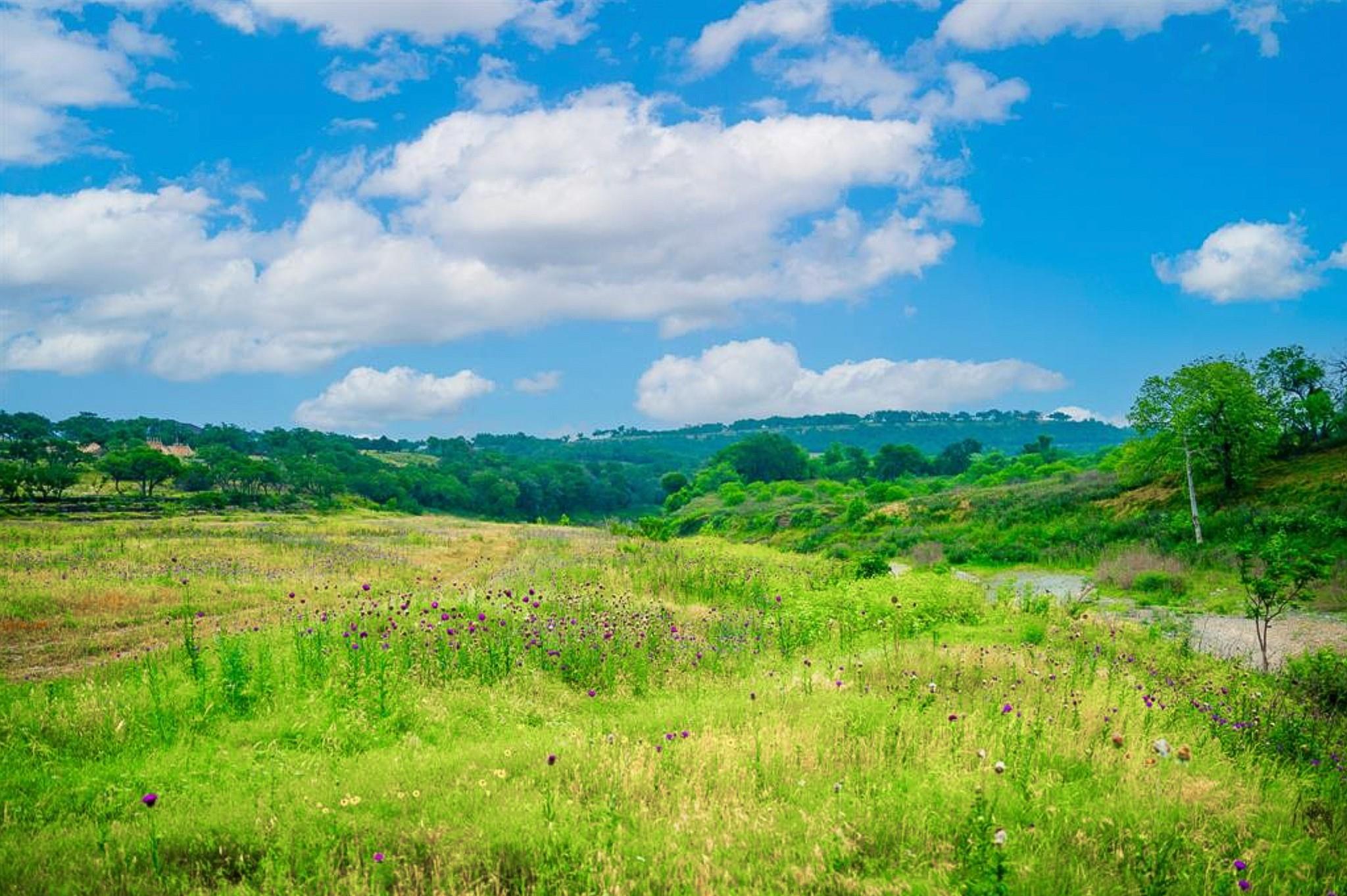 1761 Paradise Pkwy, Canyon Lake, TX 78133