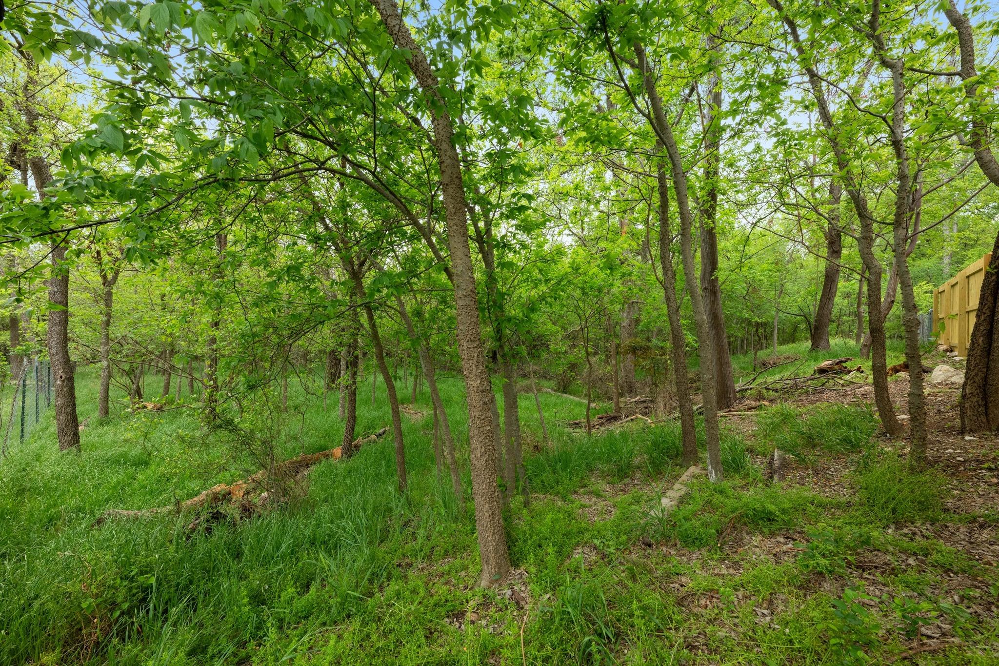 3005 Canter Ln, Austin, TX 78759