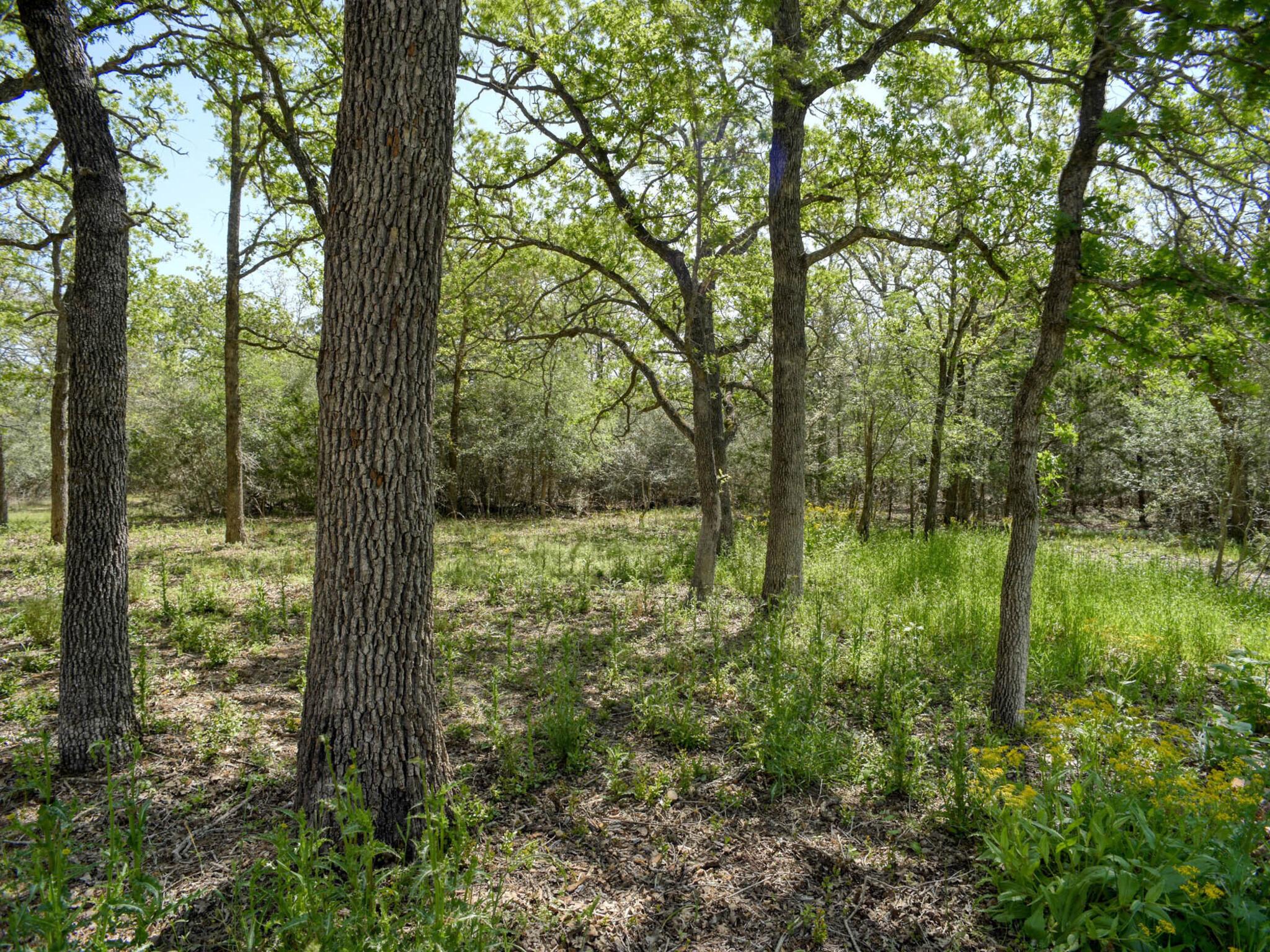 138 Wood Hollow Ct, Bastrop, TX 78602